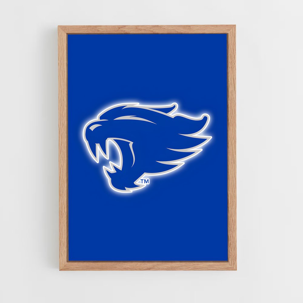 Poster Wildcats Spirit – affiche Basketball (vue 4)